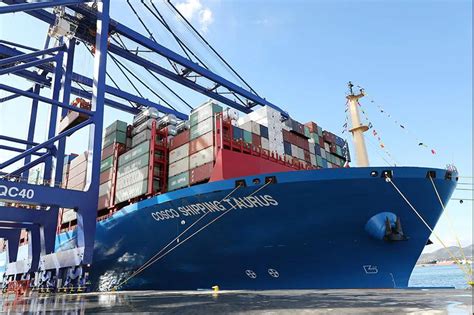 海运提单的基本知识点和注意点-出口外贸代理-上海外贸进出口公司