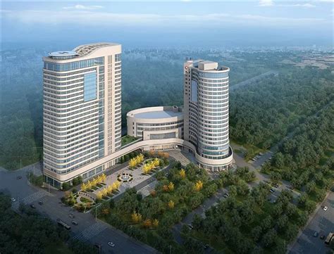 武汉投资25亿元建一座三甲医院,设置床位1000张,计划2021年建成|常福|医院|武汉_新浪新闻
