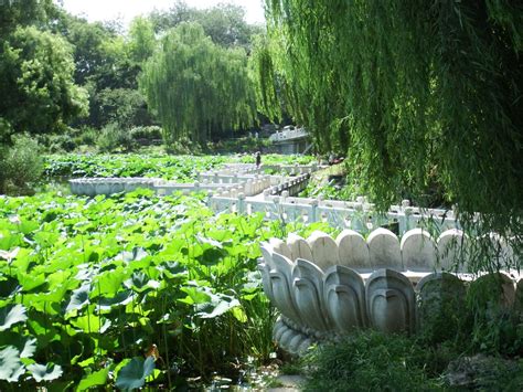 北京紫竹院公园高清图片下载-正版图片501114045-摄图网