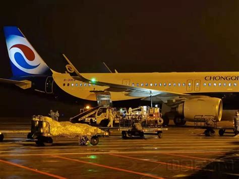 重庆航空开通重庆至胡志明“客改货”国际航班-中国民航网