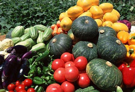 加大与生鲜电商和商超对接、推广蔬菜基地套餐直送……防控期间上海地产农产品营销模式“变招”
