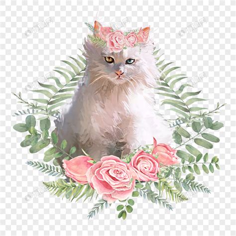 粉色小猫非主流头像