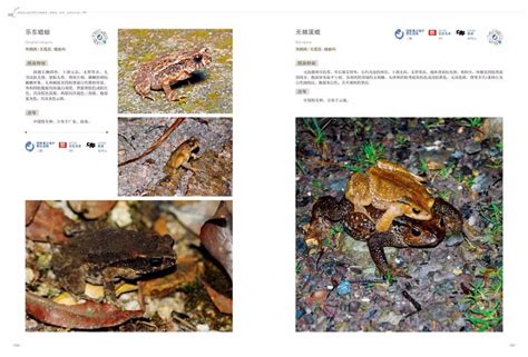 《国家重点保护野生动物图鉴》-中国首部收齐最新版国家重点保护野生动物的图文出版物 -保护地平台