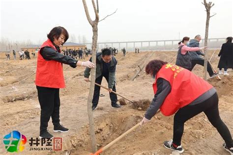 井陉：县领导参加植树活动...