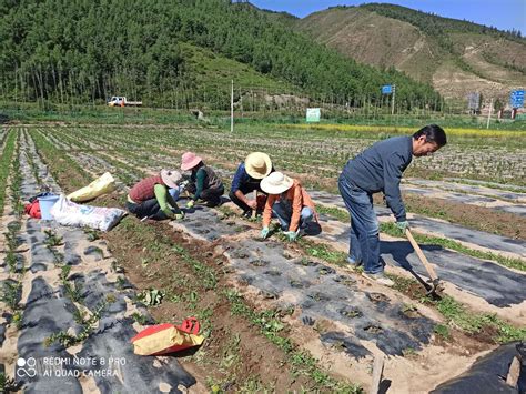 甘南州风景名胜-甘南藏族自治州投资与交流合作局