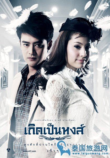 泰国必看的经典电视剧排行榜 与爱同居仅第6,第1关注度高 - 电视剧