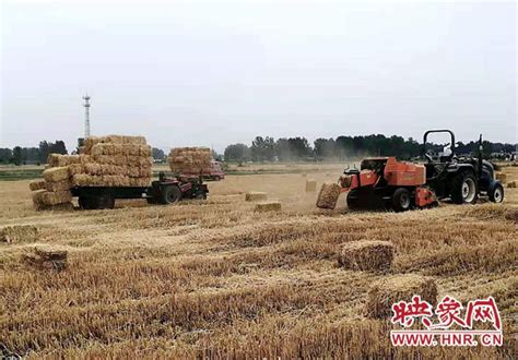 泌阳县“三夏”麦收已经结束 夏种模式正式启动-中华网河南