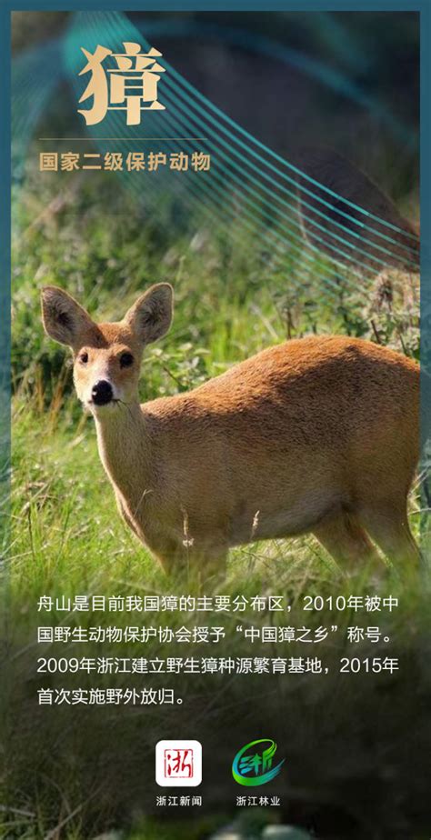 中国特有的十大珍稀动物，有些已经功能性灭绝！