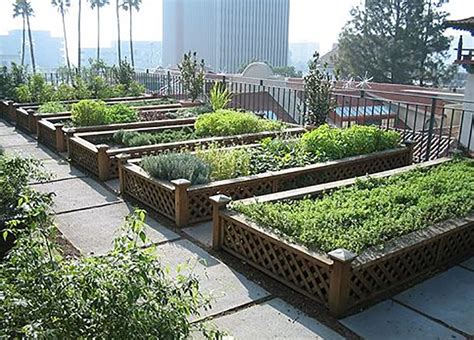 好听创意的蔬菜园的名字，私家菜园/传达绿色有机蔬菜的特征—大吉屋起名