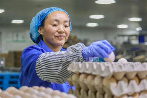 江西丰城：鲜鸡蛋产销旺-人民图片网