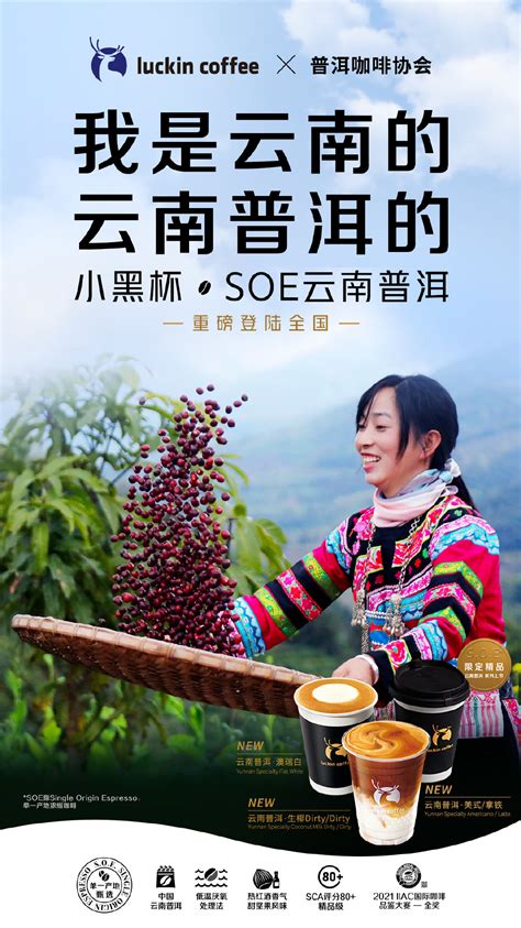 普洱茶海报|平面|海报|zpilu - 原创作品 - 站酷 (ZCOOL)