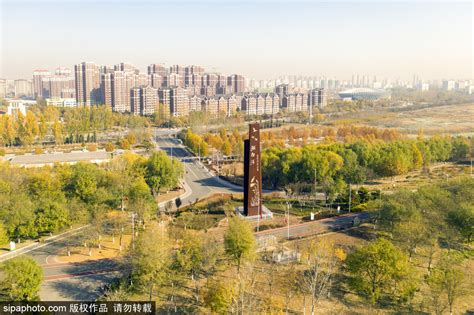 北京通州潮白河岸将再添城市森林 预计明年夏天完工 | 北晚新视觉