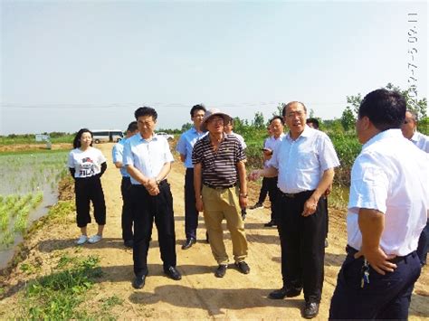 2019年7月5日东营市人民政府韩利学副市长到基地检查指导