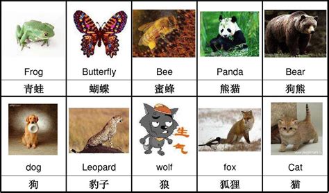 名词合集：水生.两栖.爬行类动物的名称81种（蒙古文 汉语）-草原元素---蒙古元素 Mongolia Elements
