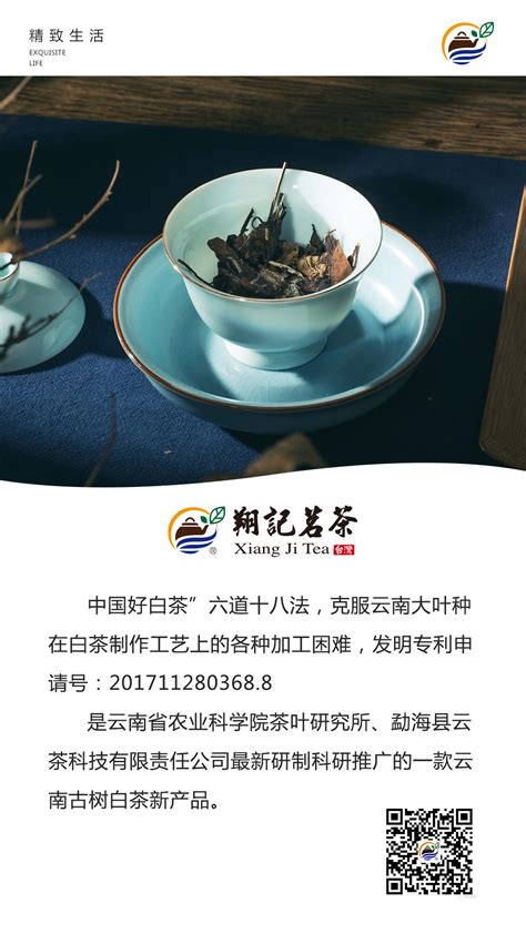 茶叶 朋友圈小海报设计|平面|宣传品|艺舟1014 - 原创作品 - 站酷 (ZCOOL)