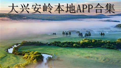 app定制开发