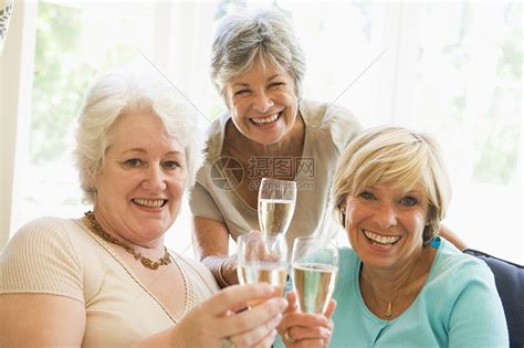 在客厅里的三个女人 喝香槟 笑着微笑酒杯乐趣女士相机朋友们长椅情感享受沙发女性高清图片下载-正版图片320162490-摄图网