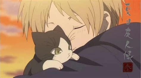 猫咪老师图片