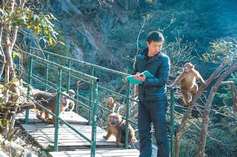 行摄西昌——泸山野生猴【3】-中关村在线摄影论坛