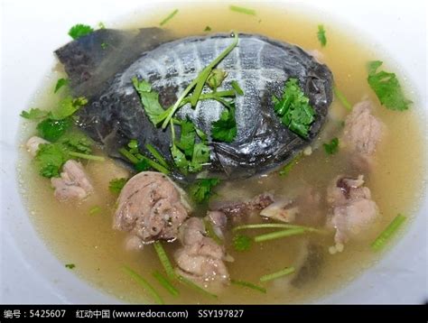 人参甲鱼汤,中国菜系,食品餐饮,摄影素材,汇图网www.huitu.com