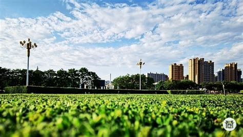 铜川新区刷新连续蓝天记录|铜川市_新浪新闻