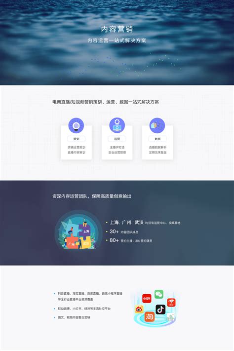 上海新数网络科技股份有限公司 - Dsp Site