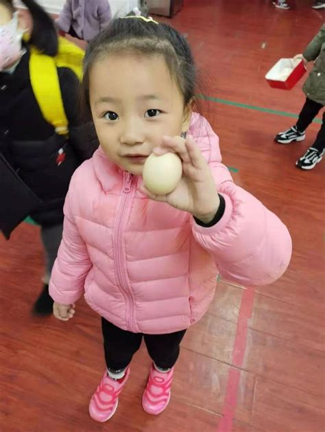 浦西校区一年级：蛋爸蛋妈齐上阵——记“保护鸡蛋宝宝行动”-上海中学国际部