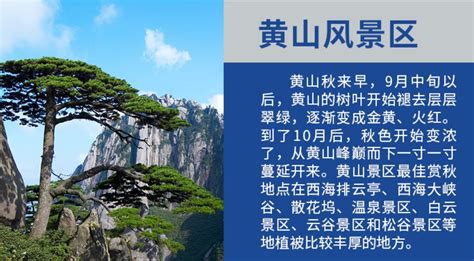 中国春季十大旅游景点排行榜_巴拉排行榜