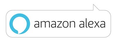 接入Amazon Echo