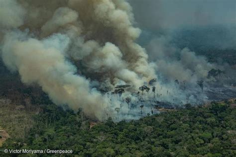 亚马逊雨林火灾频现 巴西总统称是非政府组织放火 | 地球日报