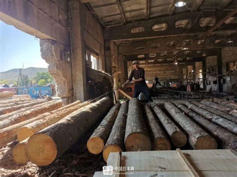 谁撩动了中国木材行业创新发展的神经_红木网_hongmu.info