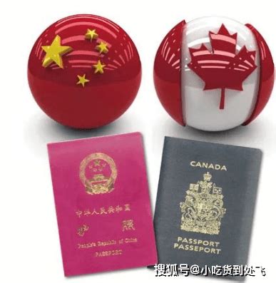 【干货】双国籍两本护照使用方法分享_中国