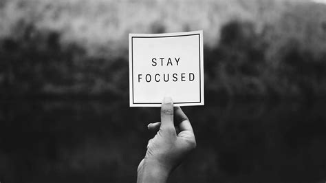 Focus On What You Are Good At - Shirley Taylor
