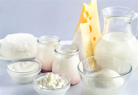 2023酸奶行业市场发展现状分析（酸奶行业未来发展趋势）_乳制品网_乳制品推广平台