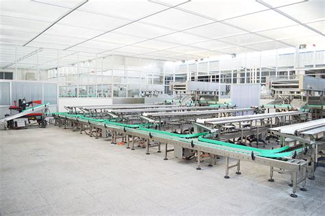 冰淇林生产线-产品中心-上海沃迪智能装备股份有限公司
