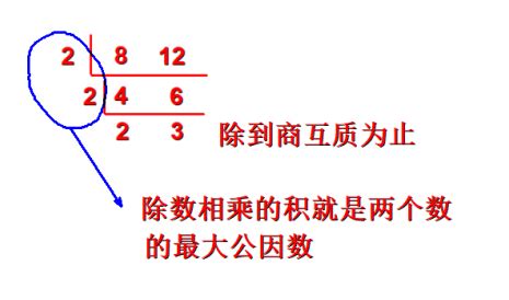 深圳五年级上册数学找最大公因数知识点_深圳学而思1对1