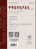 《中华医学超声杂志（电子版）》 2013年8期