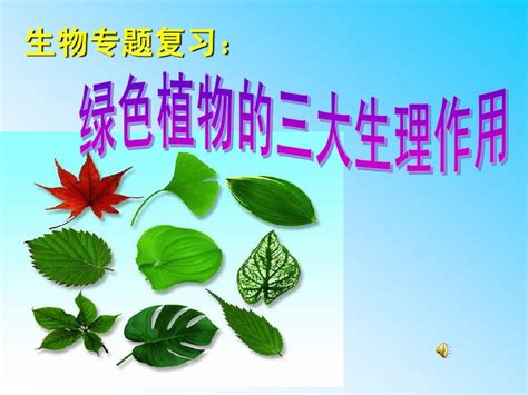 武汉植物园会员科普课堂第三期“多彩多姿的花儿”开讲----中国科学院