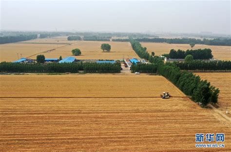 夏收已拉开序幕 全国冬小麦收获进度达4.8%_新华报业网