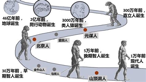 人是怎么进化来的？人类的祖先到底是谁？- 历史故事_赢家娱乐