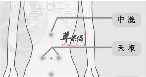 中脘的准确位置图图片 中脘的准确位置图图片