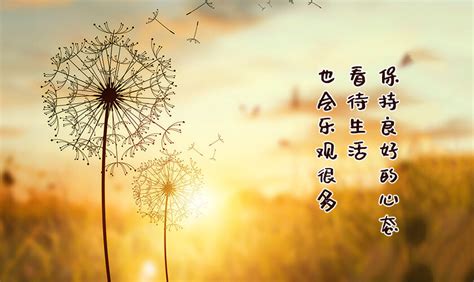 好心情的图片