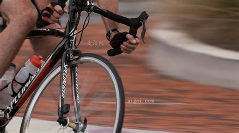 女性郊游公园骑单车背影mov格式视频下载_正版视频编号172008-摄图网