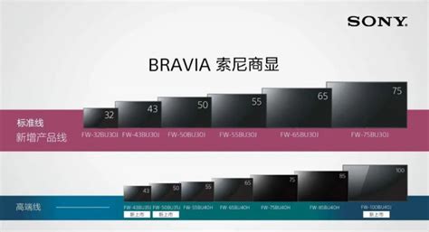 第四名：索尼（SONY） BRAVIA系列 KDL-40X2500旗舰液晶电视_比中国要便宜 日本销售前五的液晶电视—万维家电网
