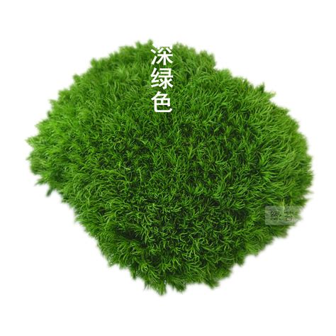 北京大灰图片