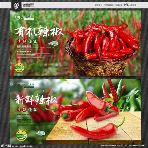 红辣椒设计图__海报设计_广告设计_设计图库_昵图网nipic.com