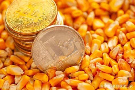 玉米价格涨只因收储破1.2亿吨？5月临储改革或将“真相大白”