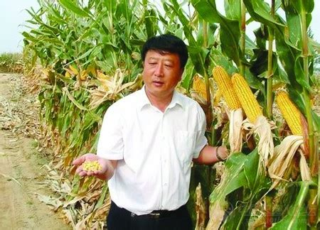 民和生物、登海道吉强强联合：玉米测产取得圆满成功
