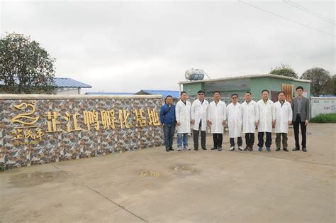 科技部农村司和省科技厅领导来我所调研指导_湖南省畜牧兽医研究所