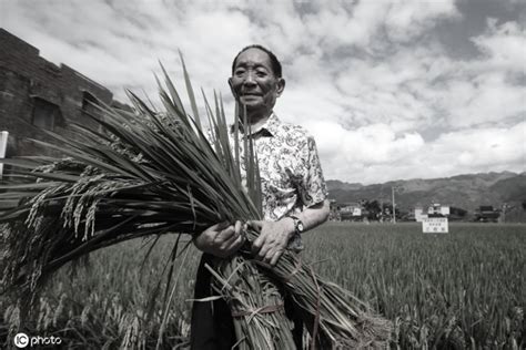 全球连线丨袁隆平的杂交水稻覆盖全球梦这样实现